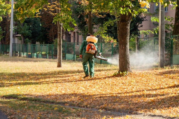 Wasp Removal Services in Markham, IL