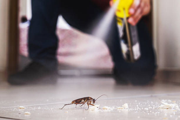 Best Pest Inspection Near Me  in Markham, IL